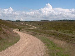 IMGP2354-Grusvej-gennem-Resendalen